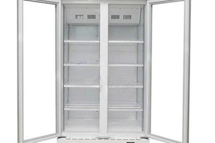 Tủ mát 2 cánh inverter Sanaky 700 lít VH8009HP3
