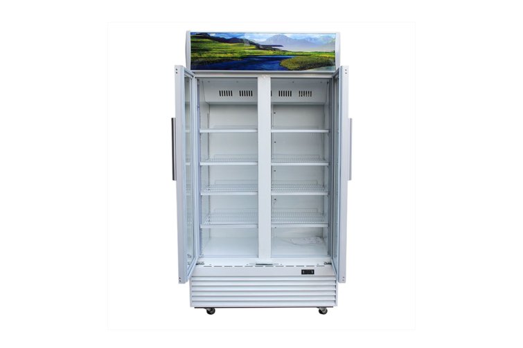 Tủ mát Sanaky Inverter 1100 lít VH1209HP3